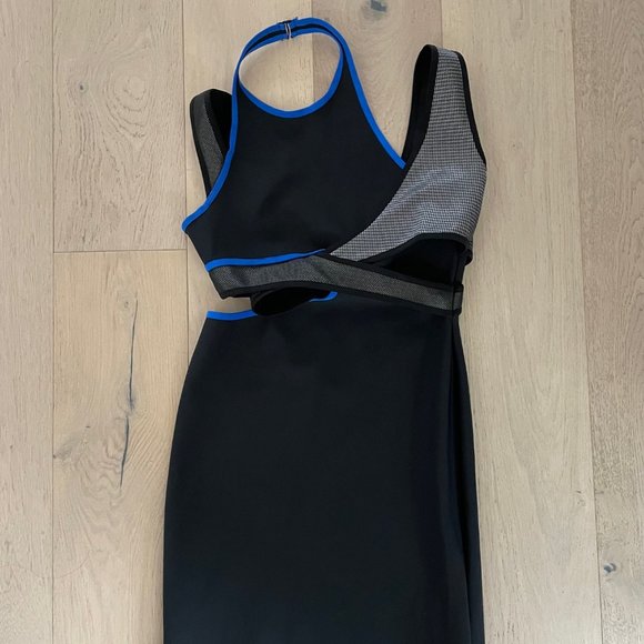 Alexander Wang Dresses & Skirts - Alexander Wang x H&M Bodycon Dress